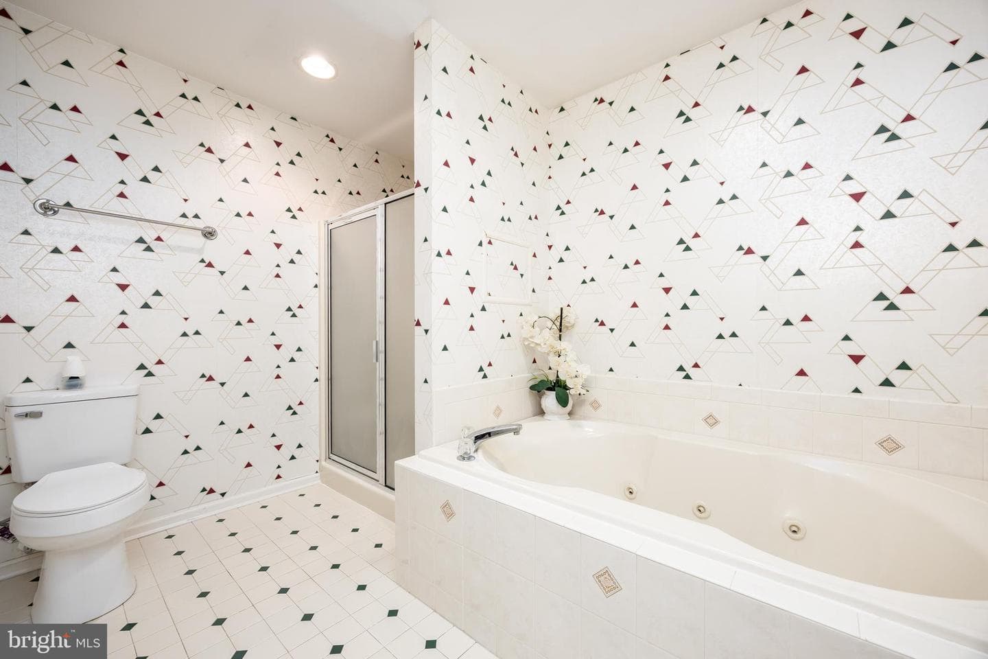30085 Haymarket Court photo 58