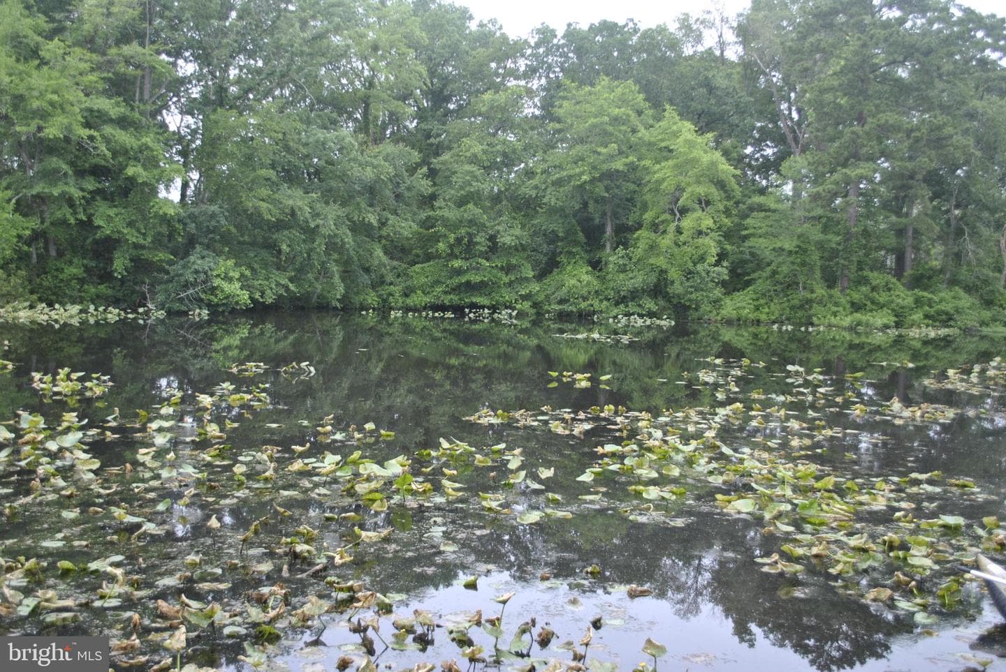 228 Canal Park Drive #g-1 photo 3
