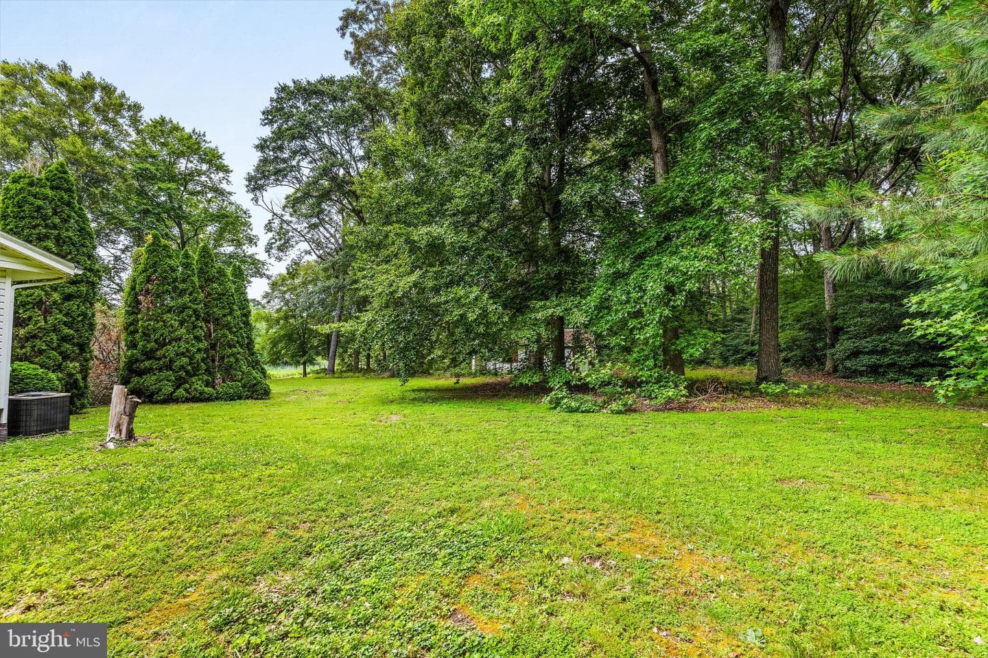 26140 High Banks Drive photo 35