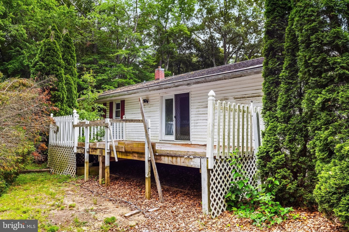 26140 High Banks Drive photo 39