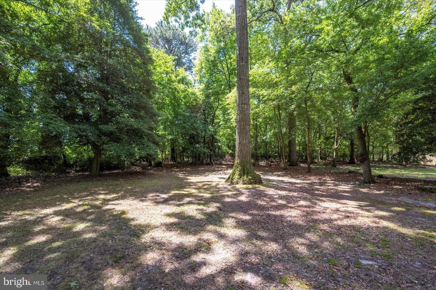 28481 Adkins Road photo 39