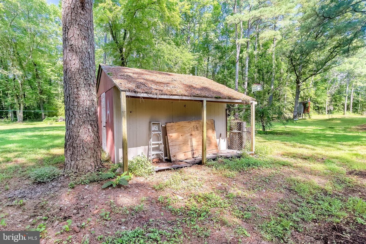 31064 Nassawango Church Road photo 11