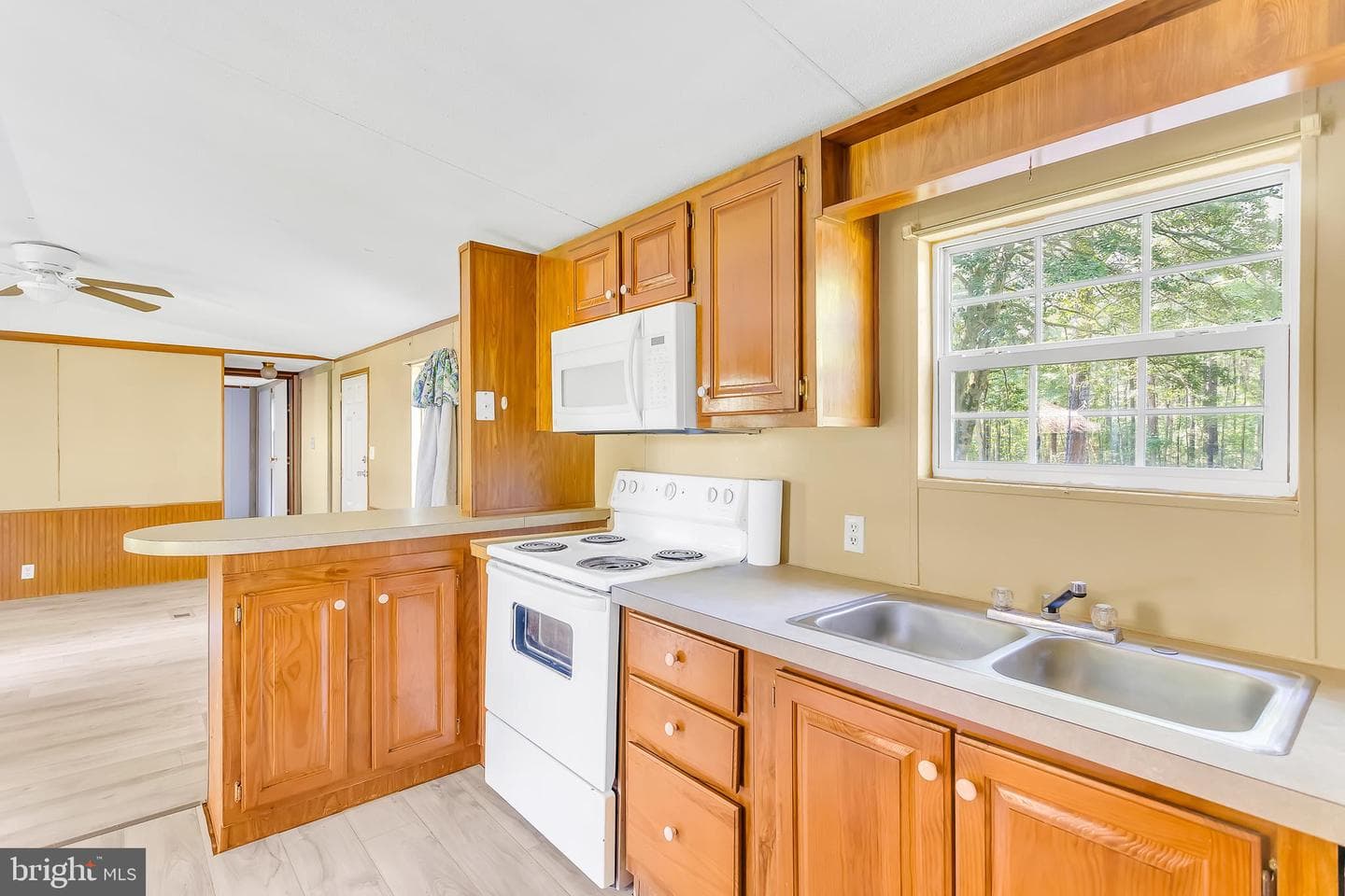 31064 Nassawango Church Road photo 2