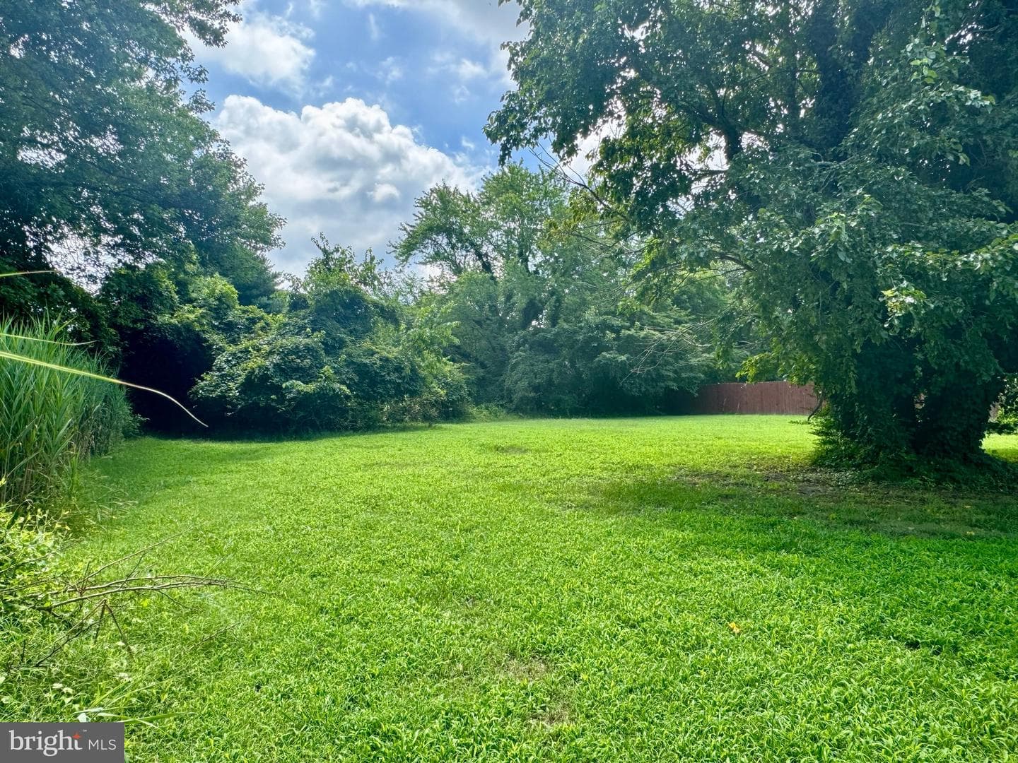 20533 Nanticoke Road photo 21