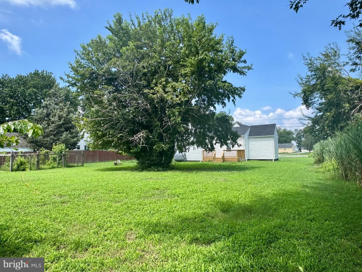 20533 Nanticoke Road photo 22