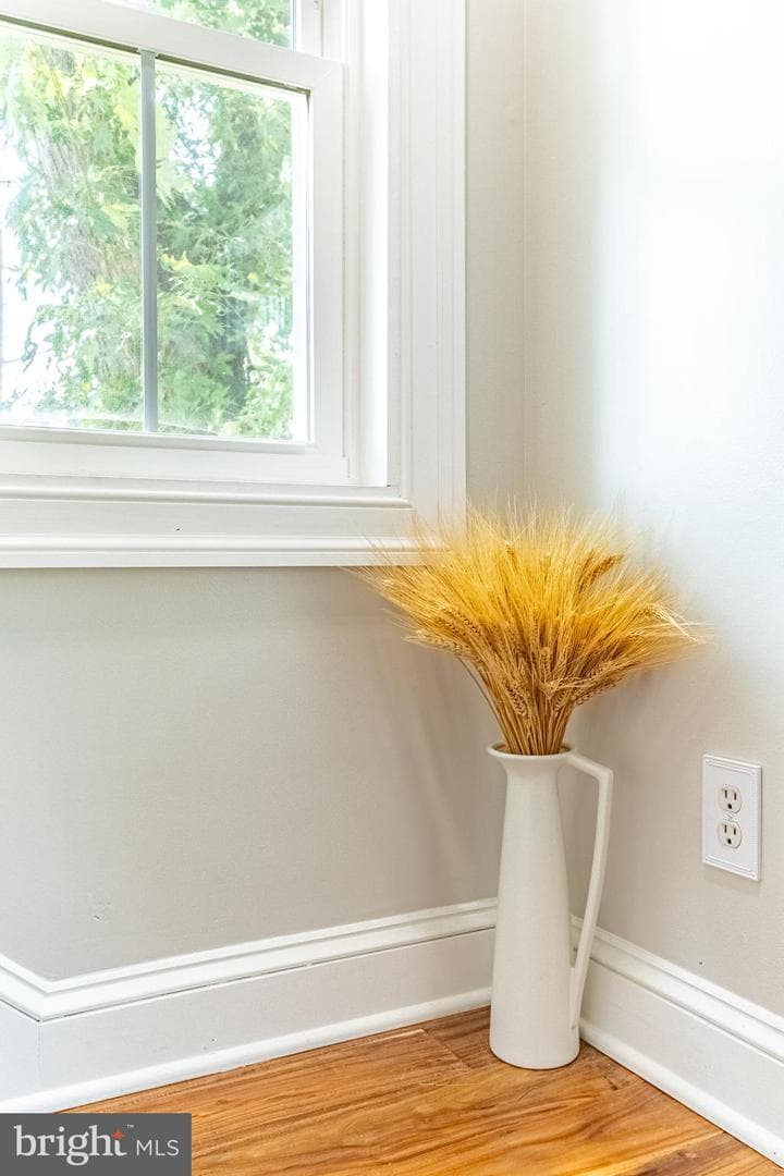 507 Ferry Street photo 24