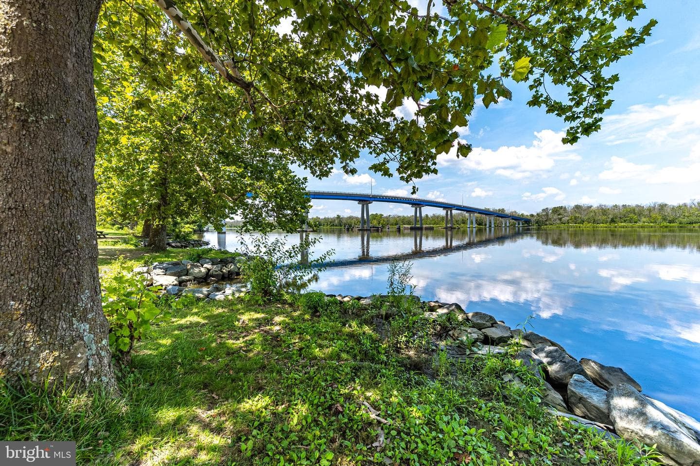 507 Ferry Street photo 92