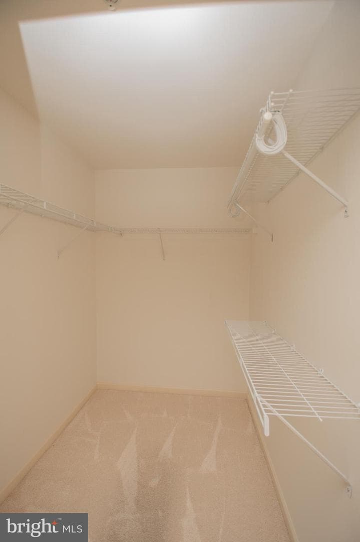 1101 S Schumaker Drive #007 photo 14