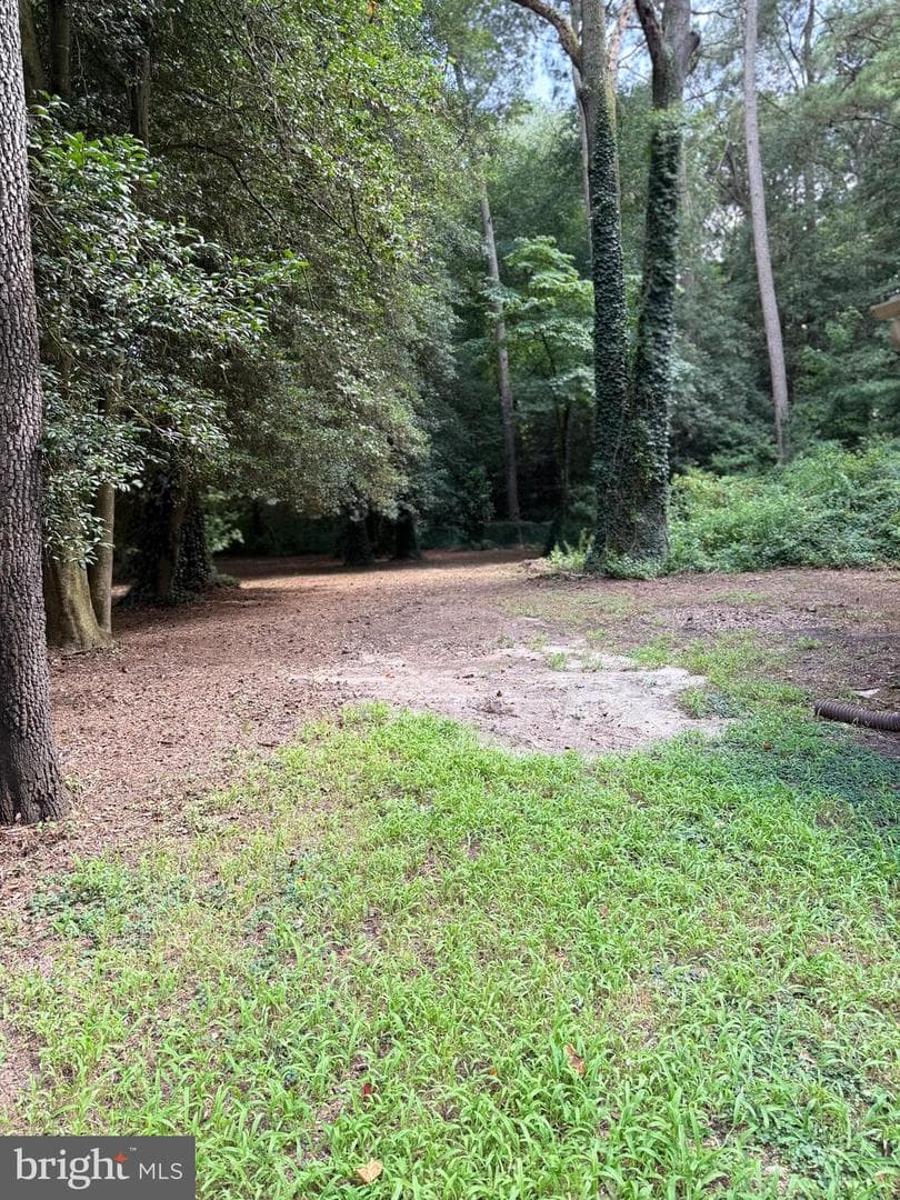 30575 Zion Road photo 16