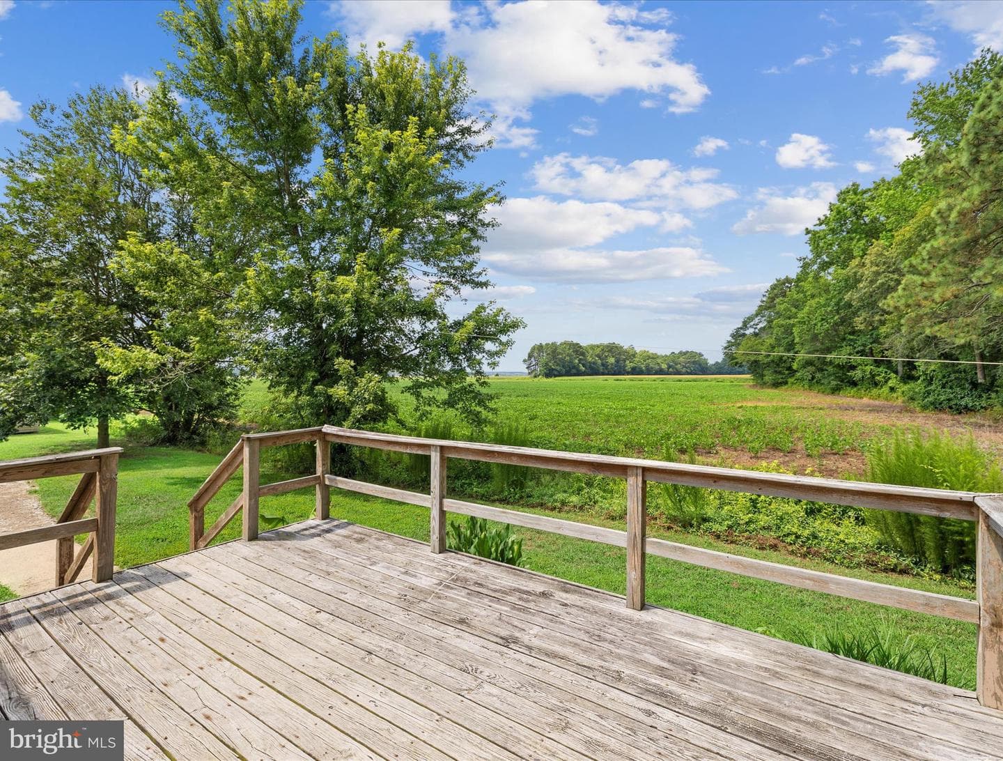 36092 Timber Drive photo 22