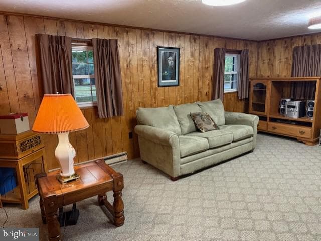 509 Regency Drive photo 19