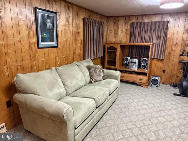 509 Regency Drive photo 20