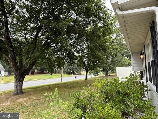 509 Regency Drive photo 31