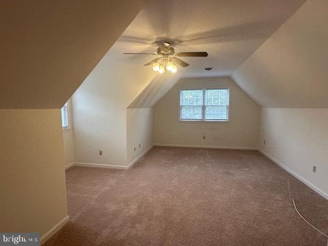 4432 Kettleford Drive photo 23