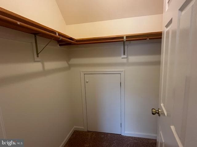 4432 Kettleford Drive photo 29