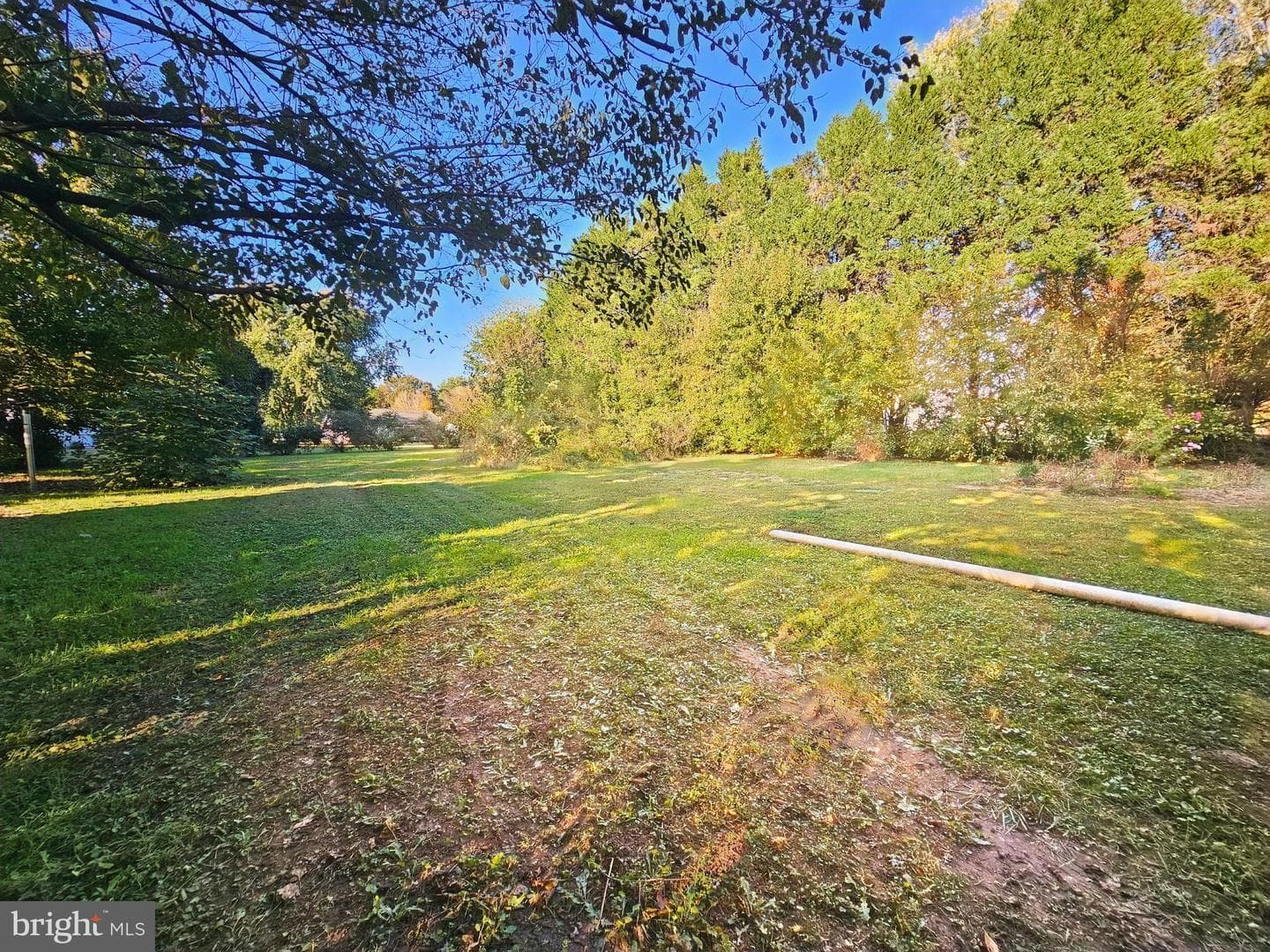 26924 Black Horse Run photo 39