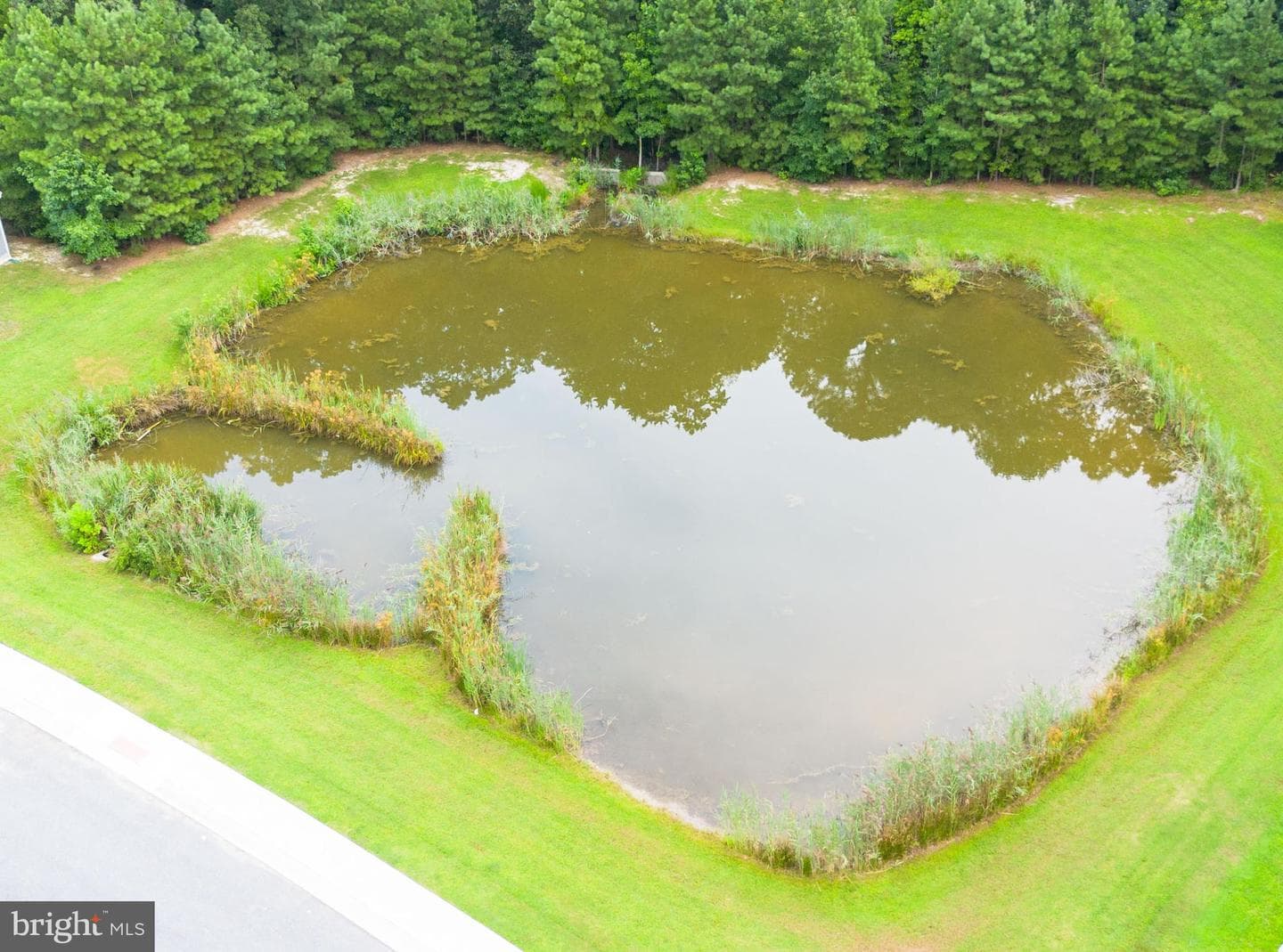 9490 Song Sparrow Circle photo 49