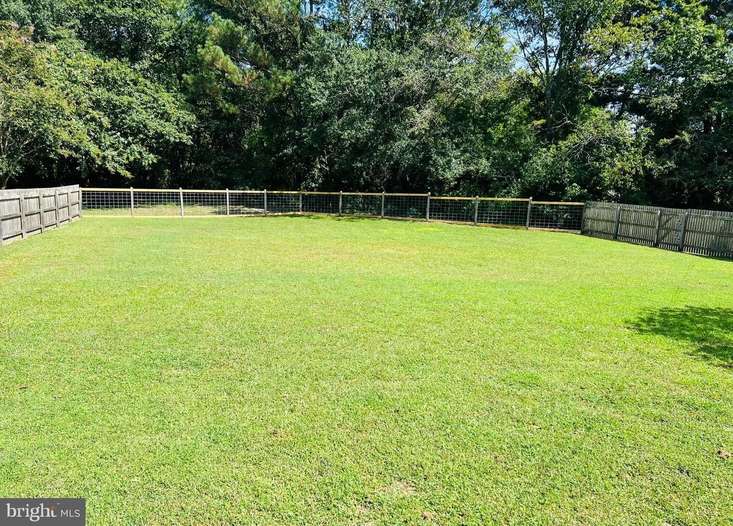 4819 Goose Creek Drive photo 8