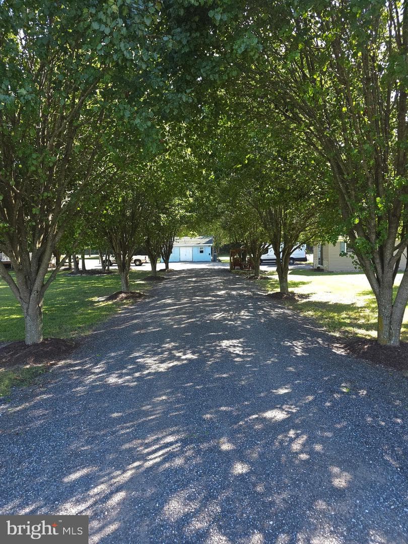25285 Ocean Gateway photo 2