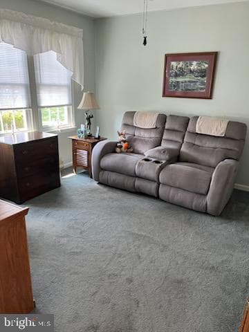 1012 E Schumaker Manor Drive photo 3