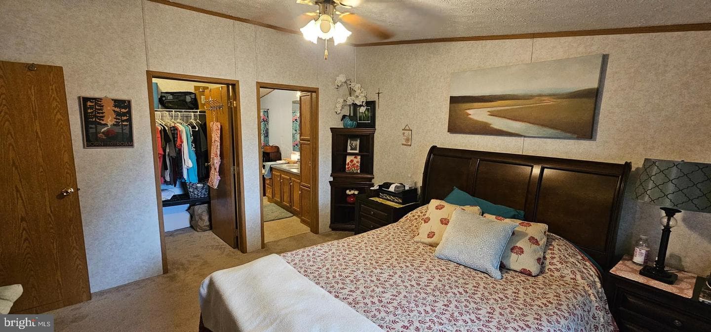 26977 Osprey Circle photo 13