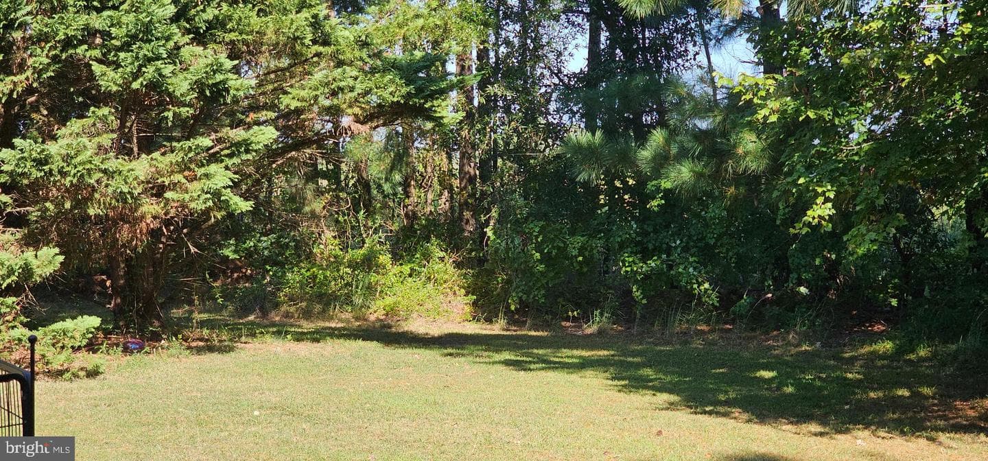 26977 Osprey Circle photo 19
