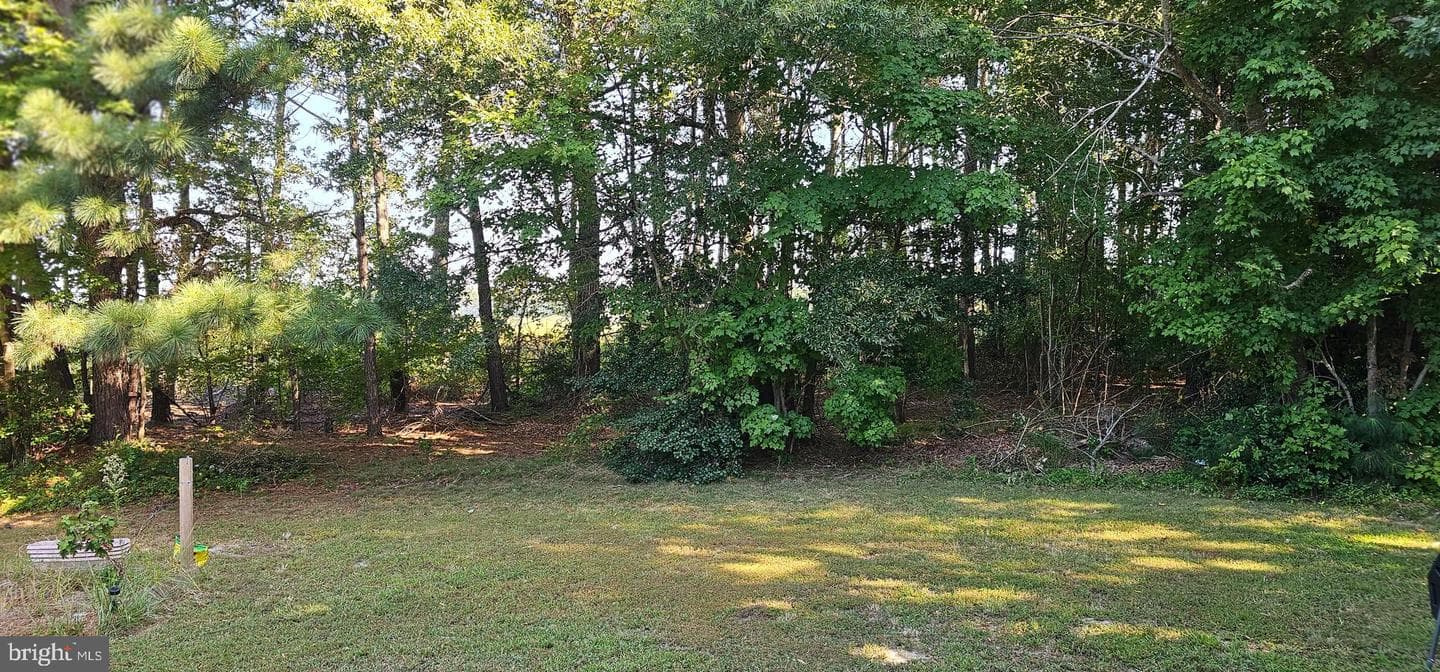 26977 Osprey Circle photo 21