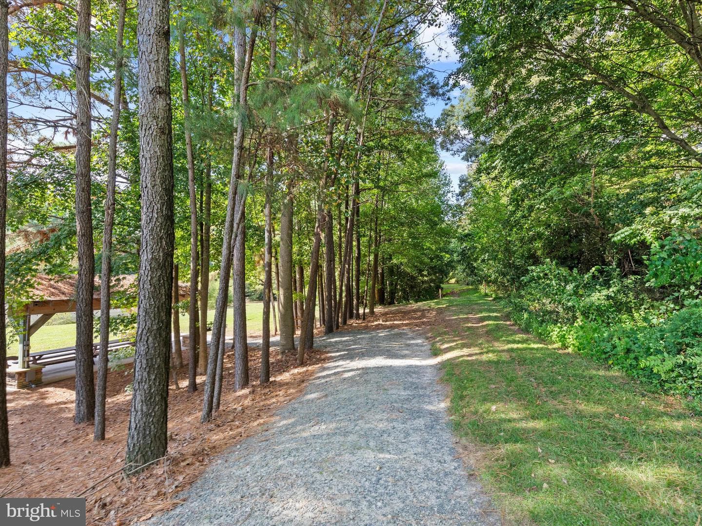 424 Lena Lane photo 63