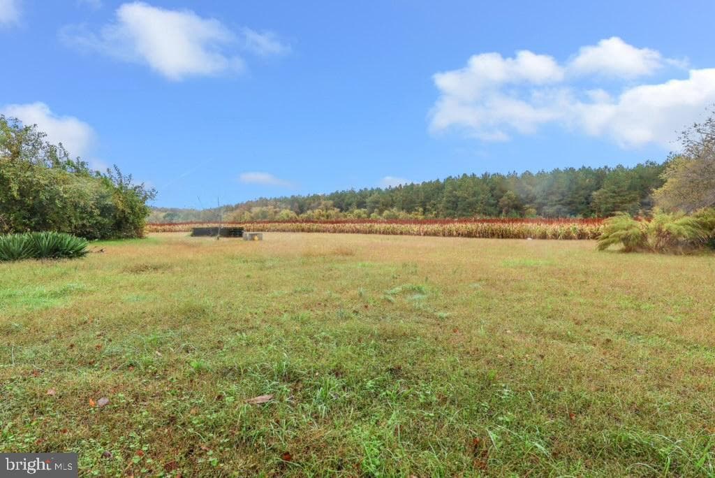 29592 Foskey Lane photo 53