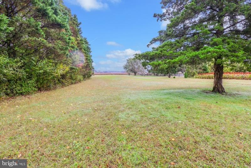 29592 Foskey Lane photo 55