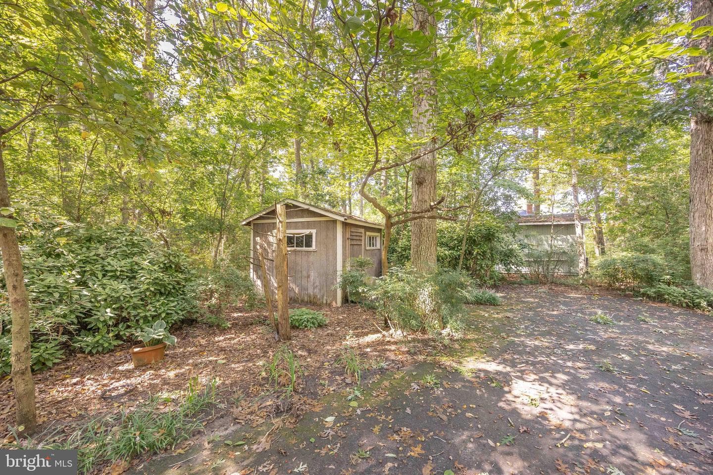30415 Saxon Court photo 56