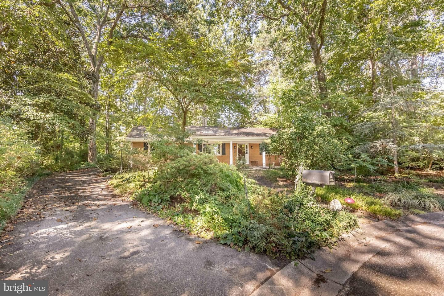 30415 Saxon Court photo 58