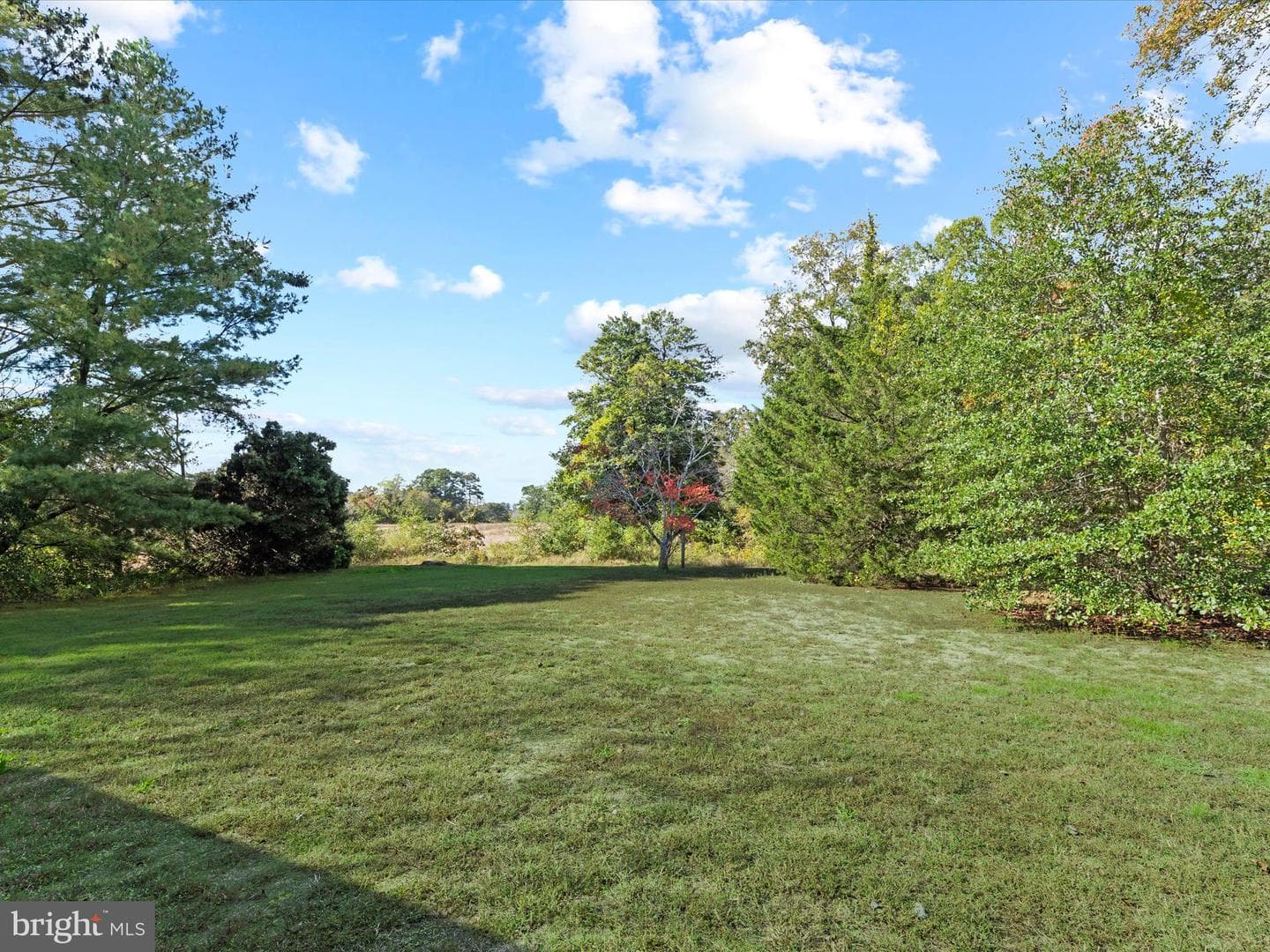 27728 Riverside Drive Extension photo 35