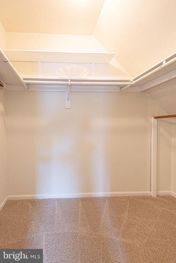 30299 Holly Lane photo 60