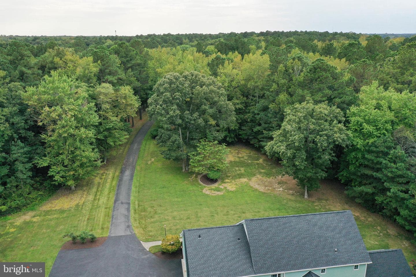7805 Broadleaf Drive photo 101