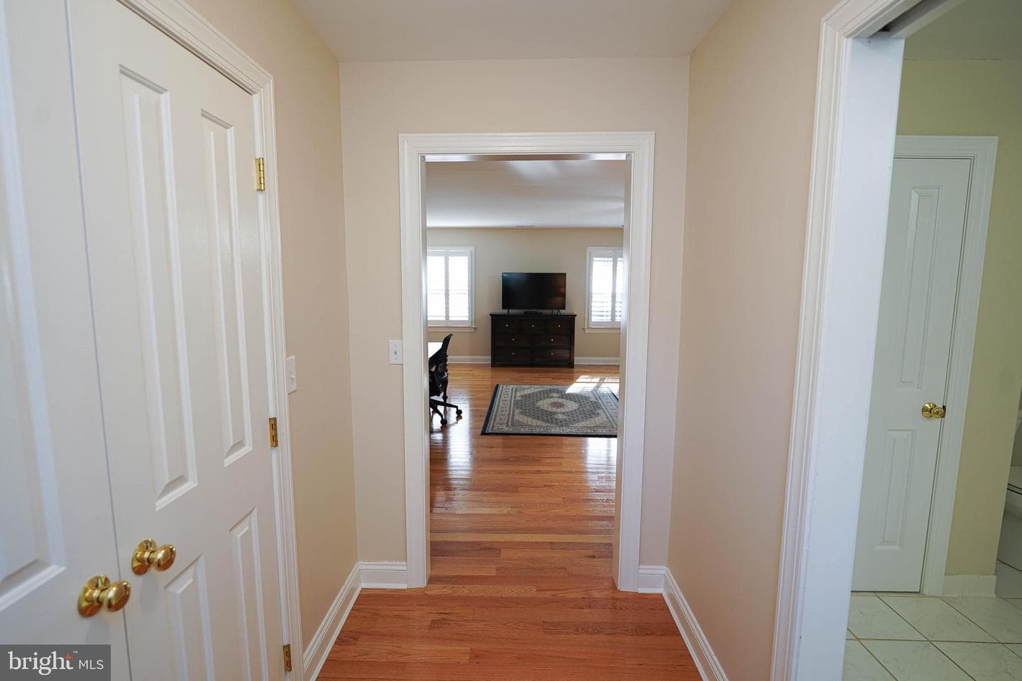 7805 Broadleaf Drive photo 57