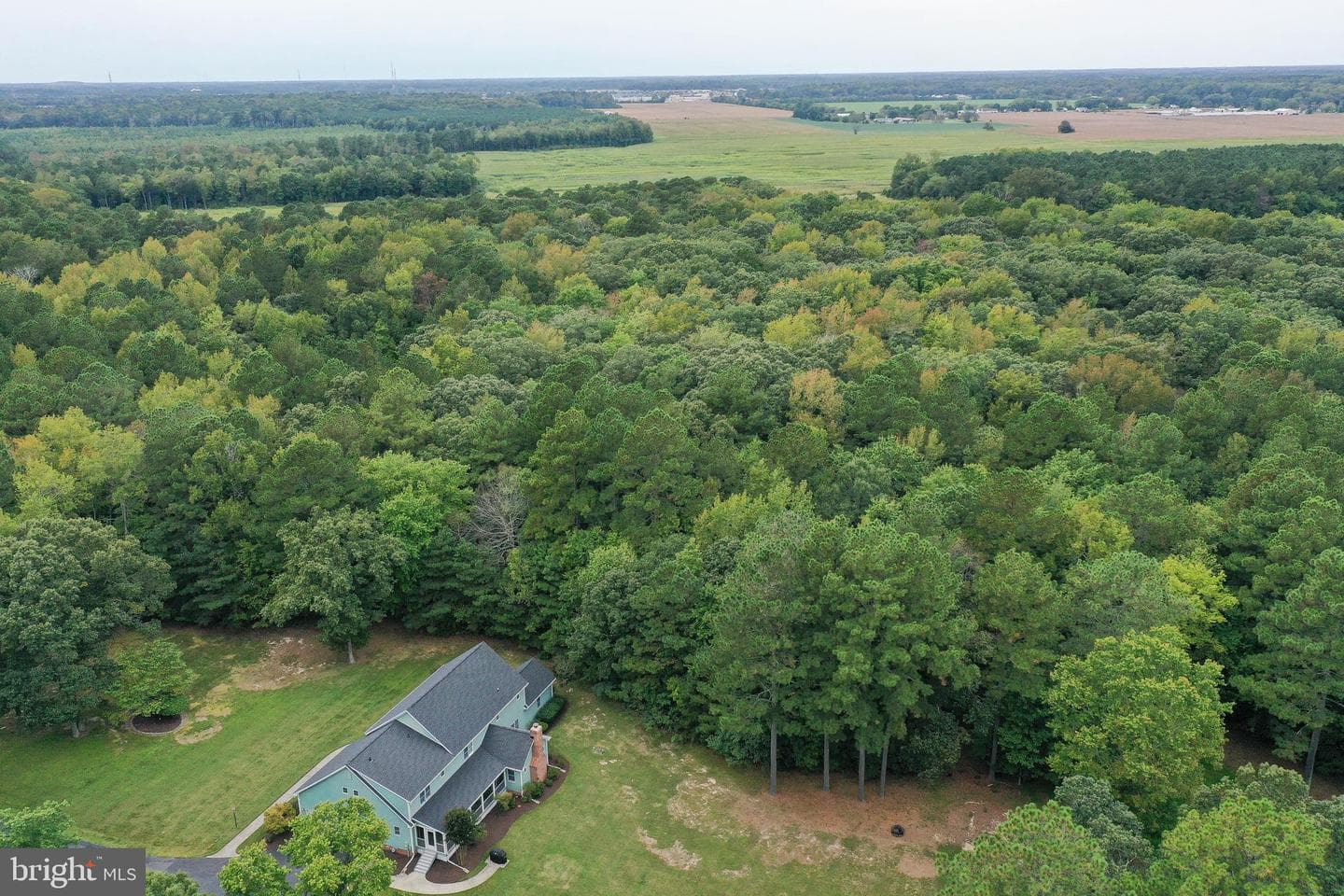 7805 Broadleaf Drive photo 97