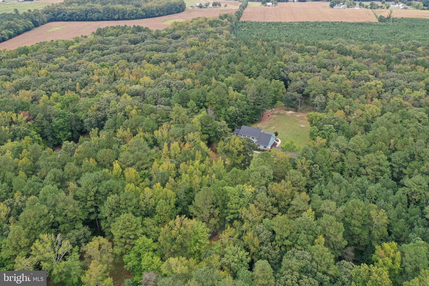 7805 Broadleaf Drive photo 99
