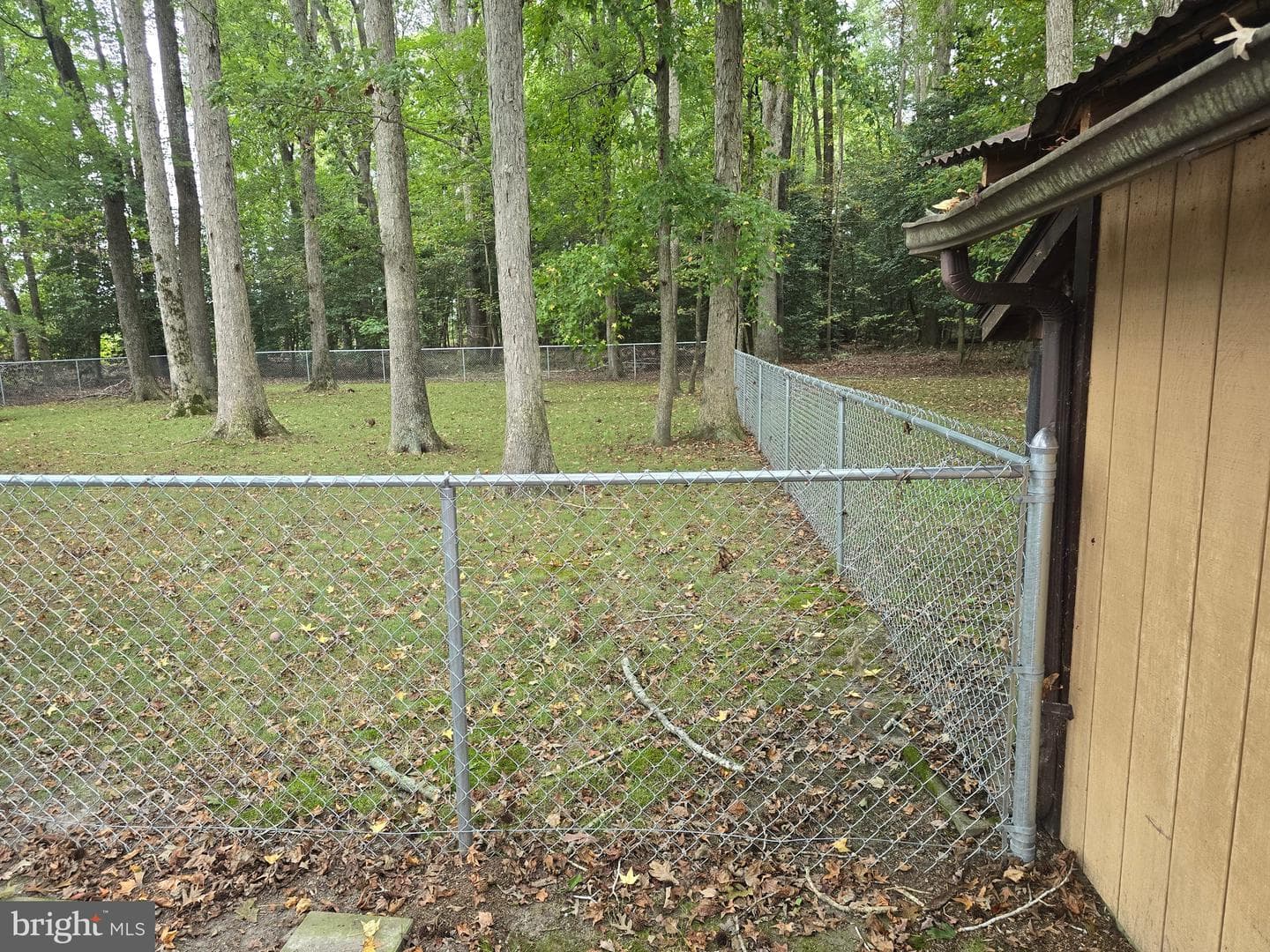 7718 Quantico Road photo 25