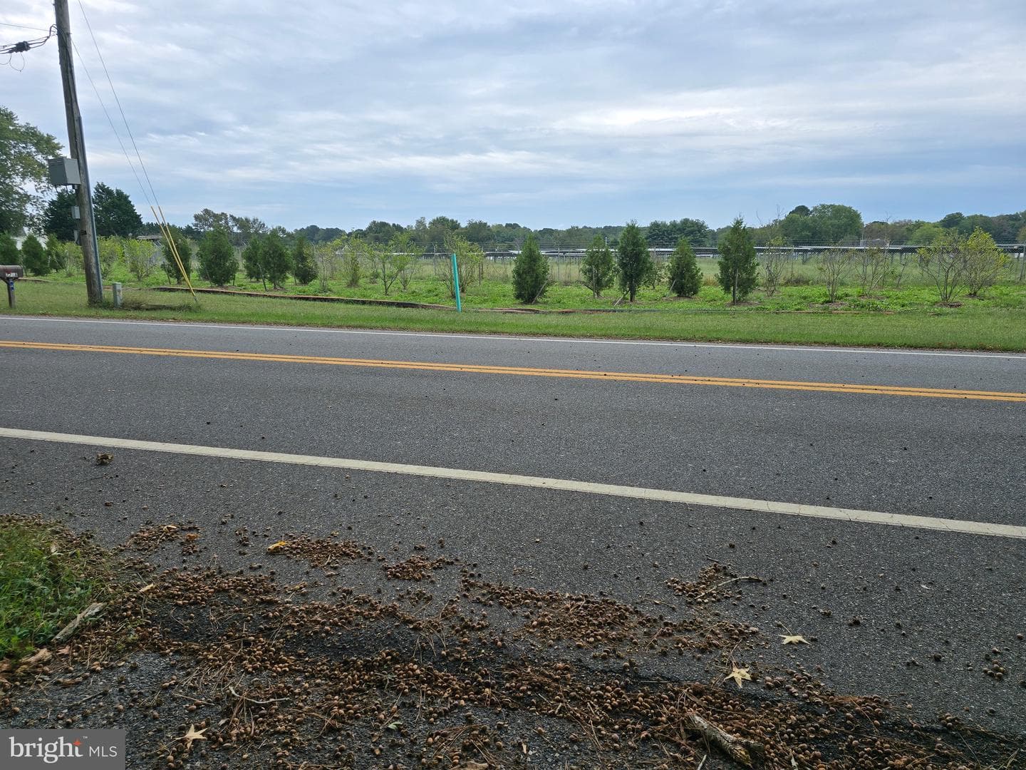 7718 Quantico Road photo 36