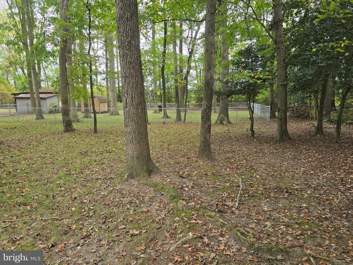 7718 Quantico Road photo 37