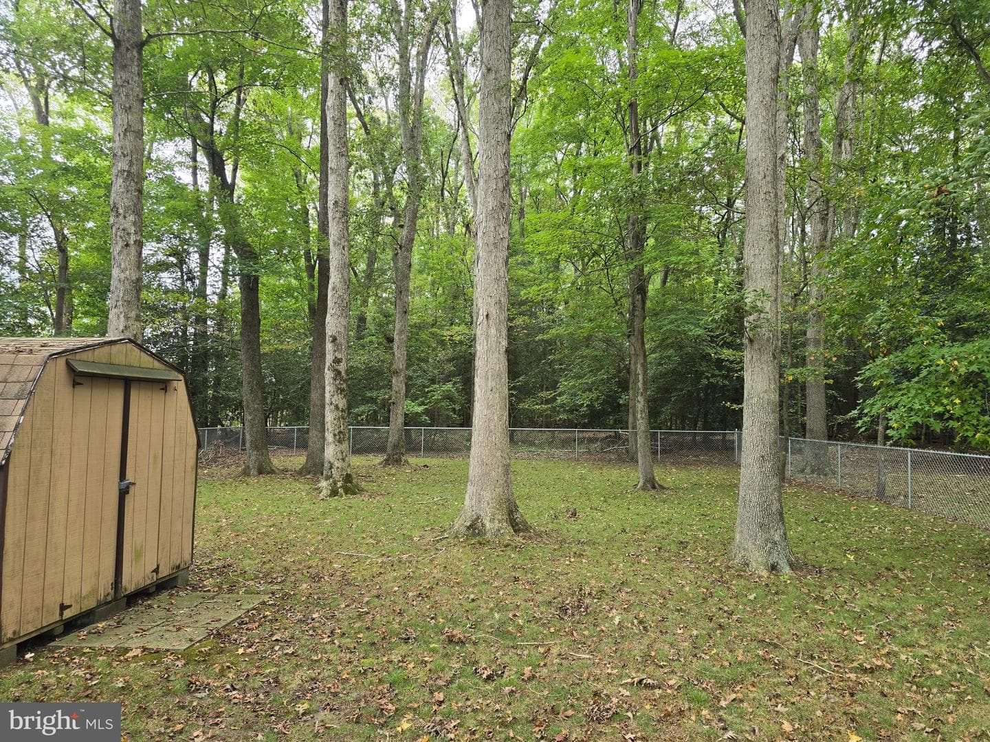 7718 Quantico Road photo 42