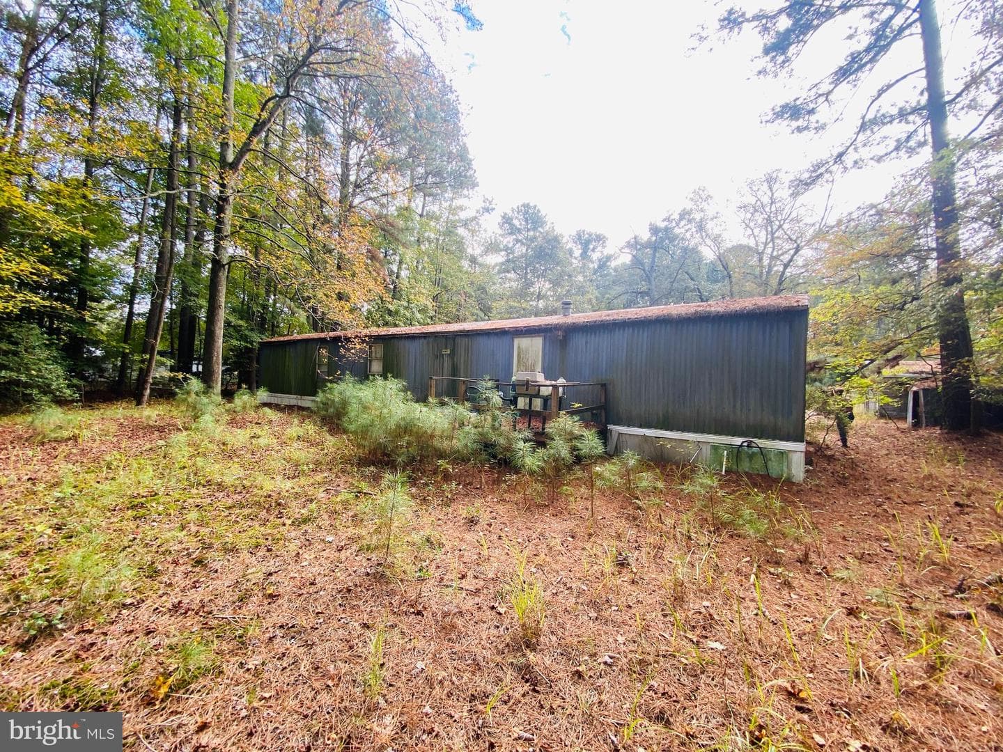8923 Star Road photo 13