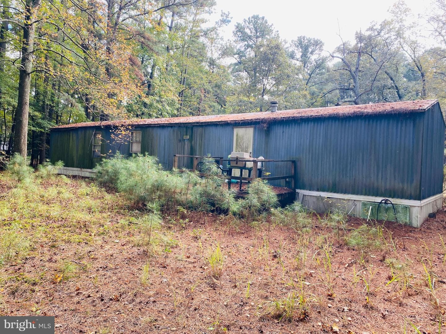 8923 Star Road photo 14