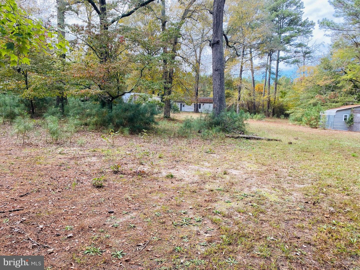 8923 Star Road photo 17