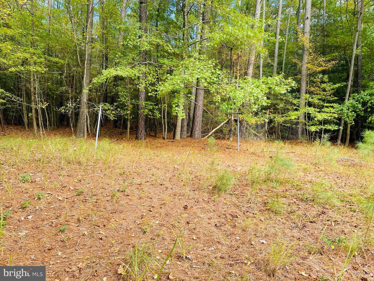 8923 Star Road photo 19
