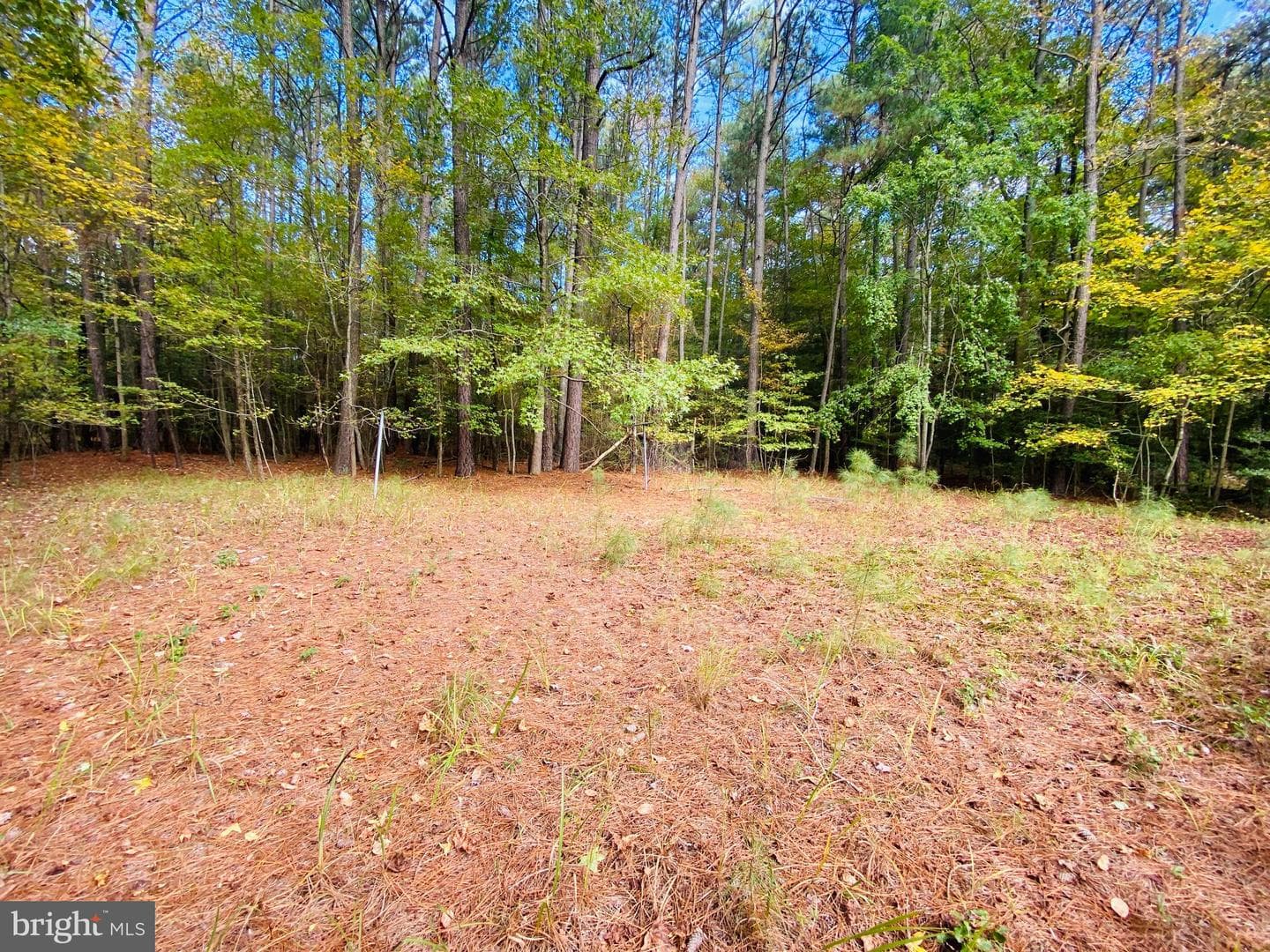 8923 Star Road photo 20