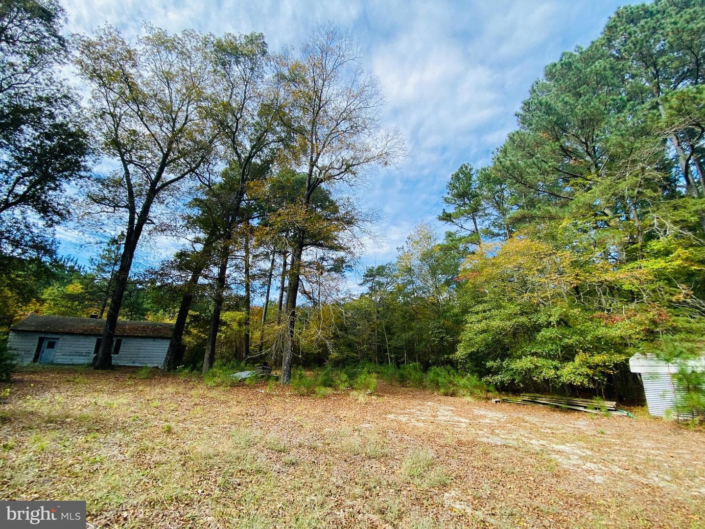 8923 Star Road photo 21