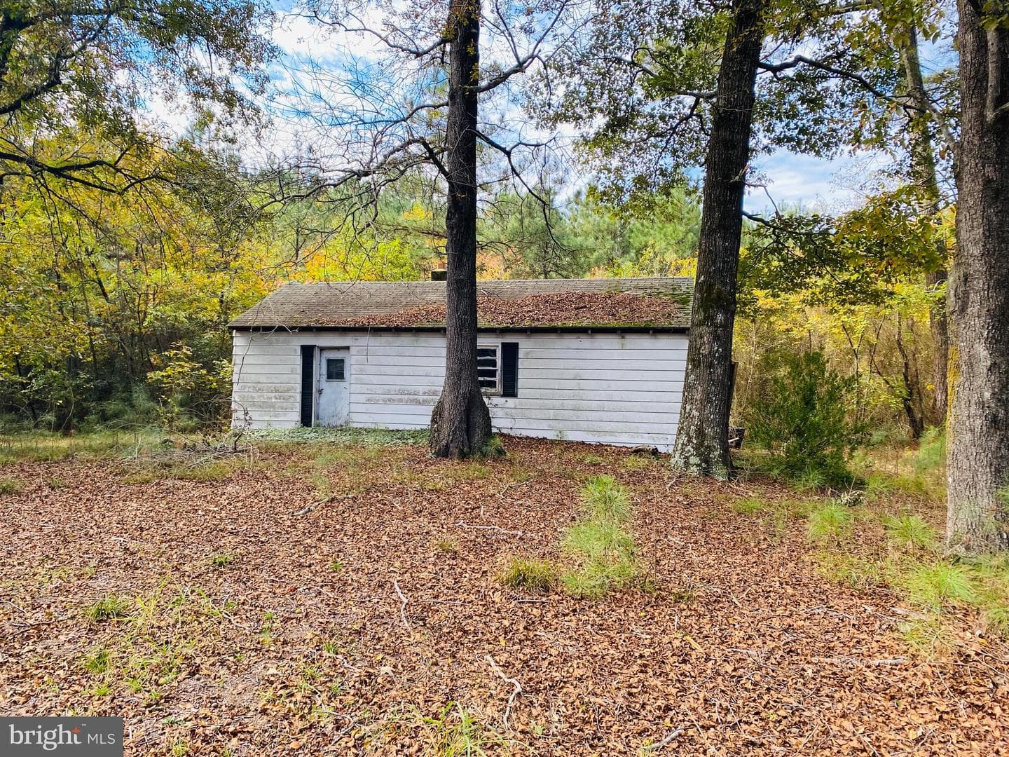 8923 Star Road photo 22