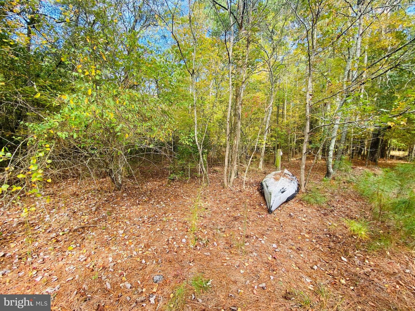 8923 Star Road photo 23